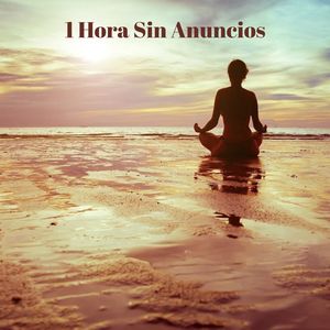 Alma Sin Interrupciones