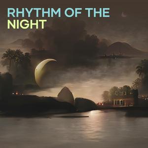 Rhythm of the Night