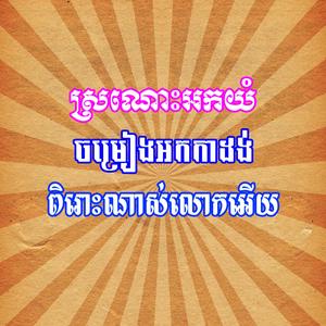 ស្រណោះអកយំ អកកាដង់ ពិរោះណាស់