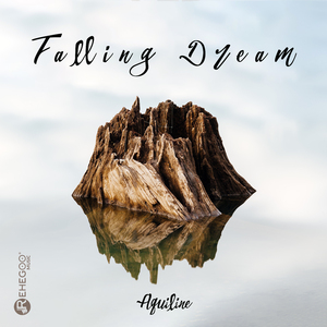 Falling Dream