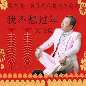 我不想过年