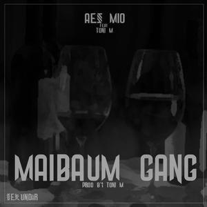 Maibaum Gang (feat. Toni m.)