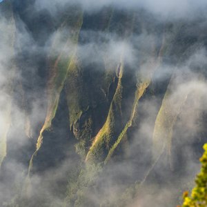 因果(国风+流行)