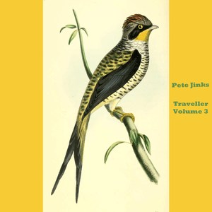 17 Days (V2 - Fast Bossa Nova Mix)