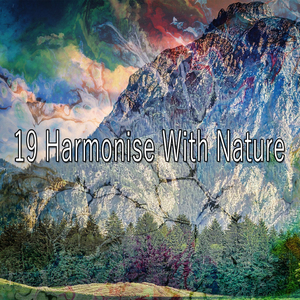 在自然奇觀的世界