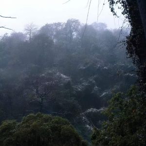 无人入座 (No One Seated)