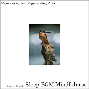 Nighttime Reflections