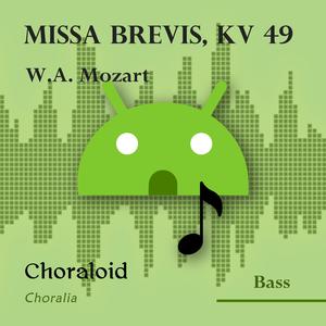 Missa Brevis, KV 49: Sanctus (All voices)