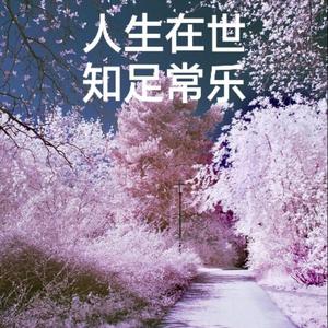 银河与星斗（翻唱 yihuik苡慧）