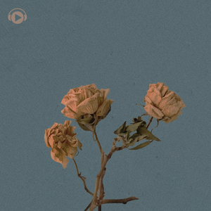 その日僕たちの空から、星は消え去った (feat. GILLTHIM)