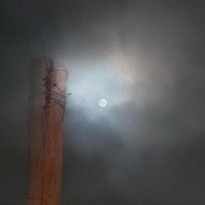 Born anew (To moult)