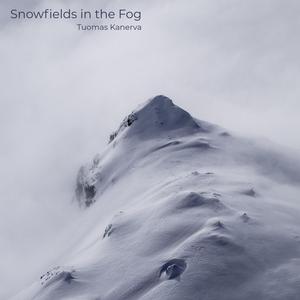 Snowfields in the Fog