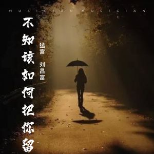 不知该如何把你留