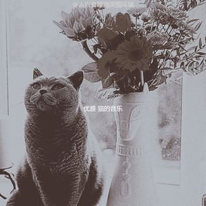 微妙的压力大的猫心情