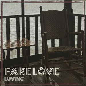 Fake Love