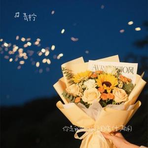 你是我胸口永远的痛  (女声版) (Cover 赵十三)