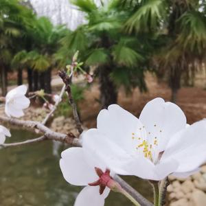 热勇(cover_栗先达)