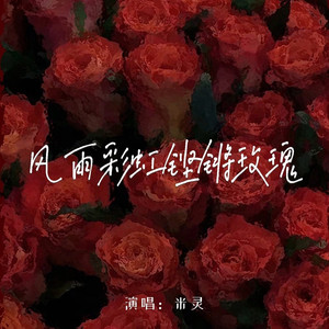 风雨彩虹铿锵玫瑰