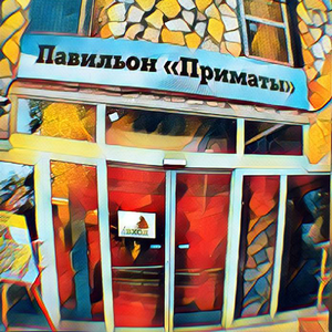 ПРИМАТ