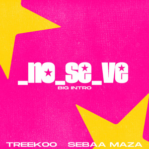 No Se Ve (Big Intro) (Remix)