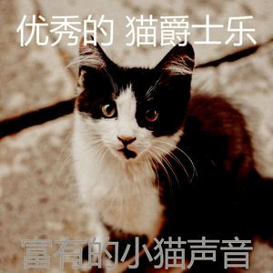 温和睡猫梦想