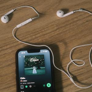 Chuyến xe không khứ hồi (Demo)