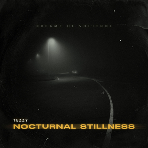 Nocturnal Stillness