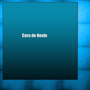 Cara de Novin