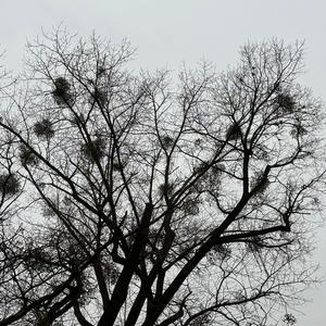 Погано (трохи)