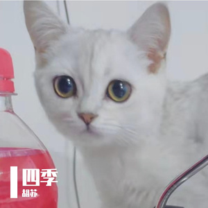 初见的阳光和幸运四叶草