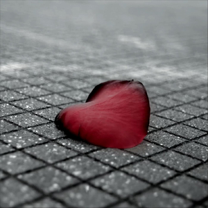 Love or Danger