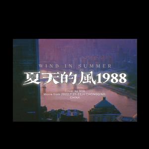 夏天的风1988