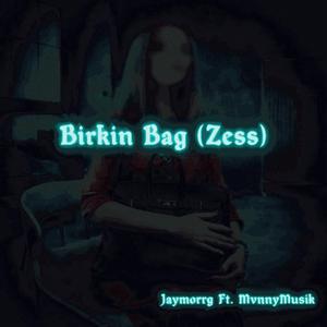 Birkin Bag (Zess)