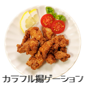 カラフル揚ゲーション