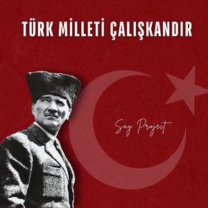 Türk Milleti Çalışkandır