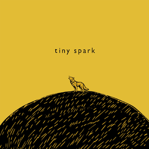 tiny spark