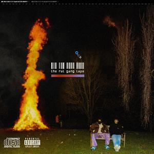 W.S.C.I.B. (skywalker)