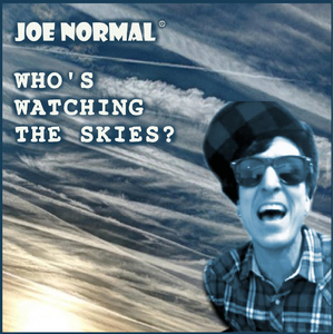 Who's Watching the Skies