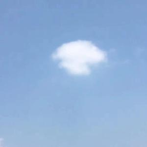 咸咸甜甜（翻自 赵芷彤）