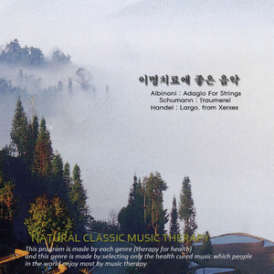 Adagio For Strings 알비노니：현을 위한 아다지오