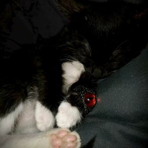 【CZERO】“圣罪”暗黑情绪&Trap Beat