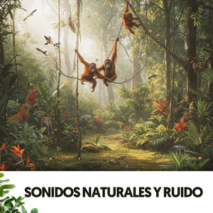 Cascadas Encantadas