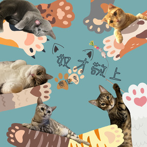 給主子 MeowTogether