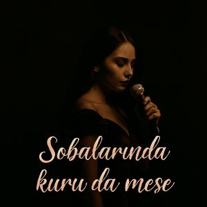 Sobalarında Kuru Da Meşe