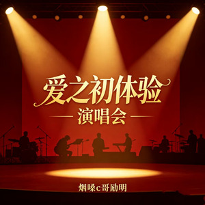爱之初体验(演唱会)