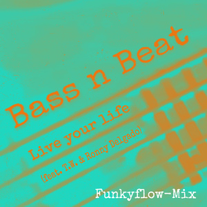 Live Your Life (Funkyflow-Mix)