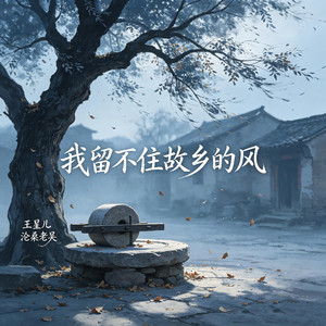 我留不住故乡的风