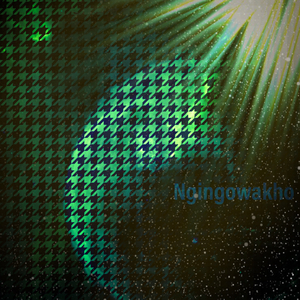 Ngingowakho (feat. Punky)
