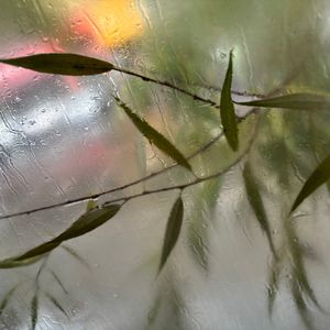 《她，秋雨》(Prod.by DayOne)