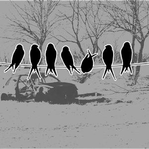 Tweet